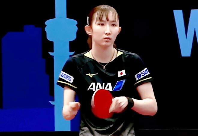 职业生涯的 职业生涯的