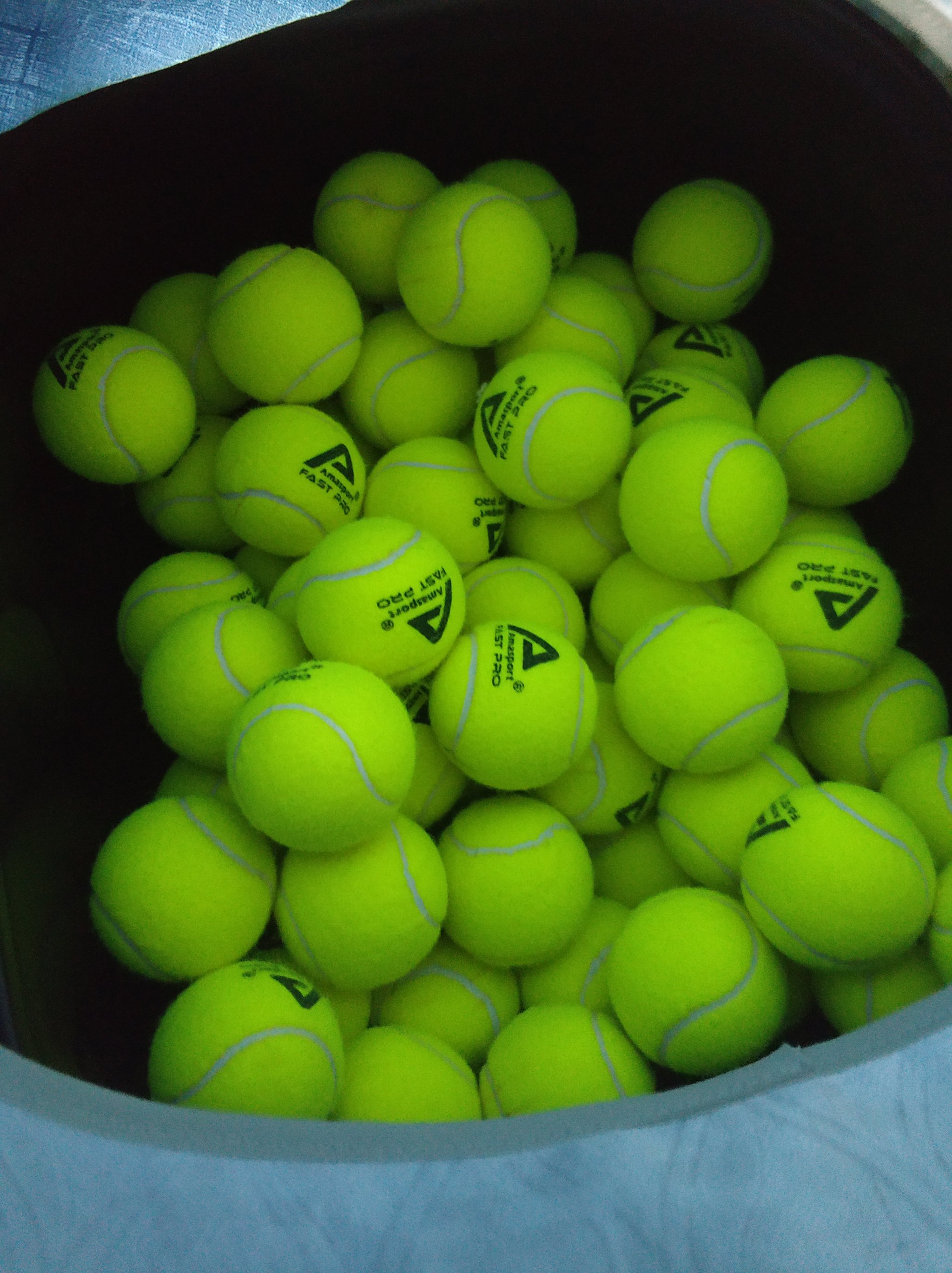 可撼动的霸 可撼动的霸