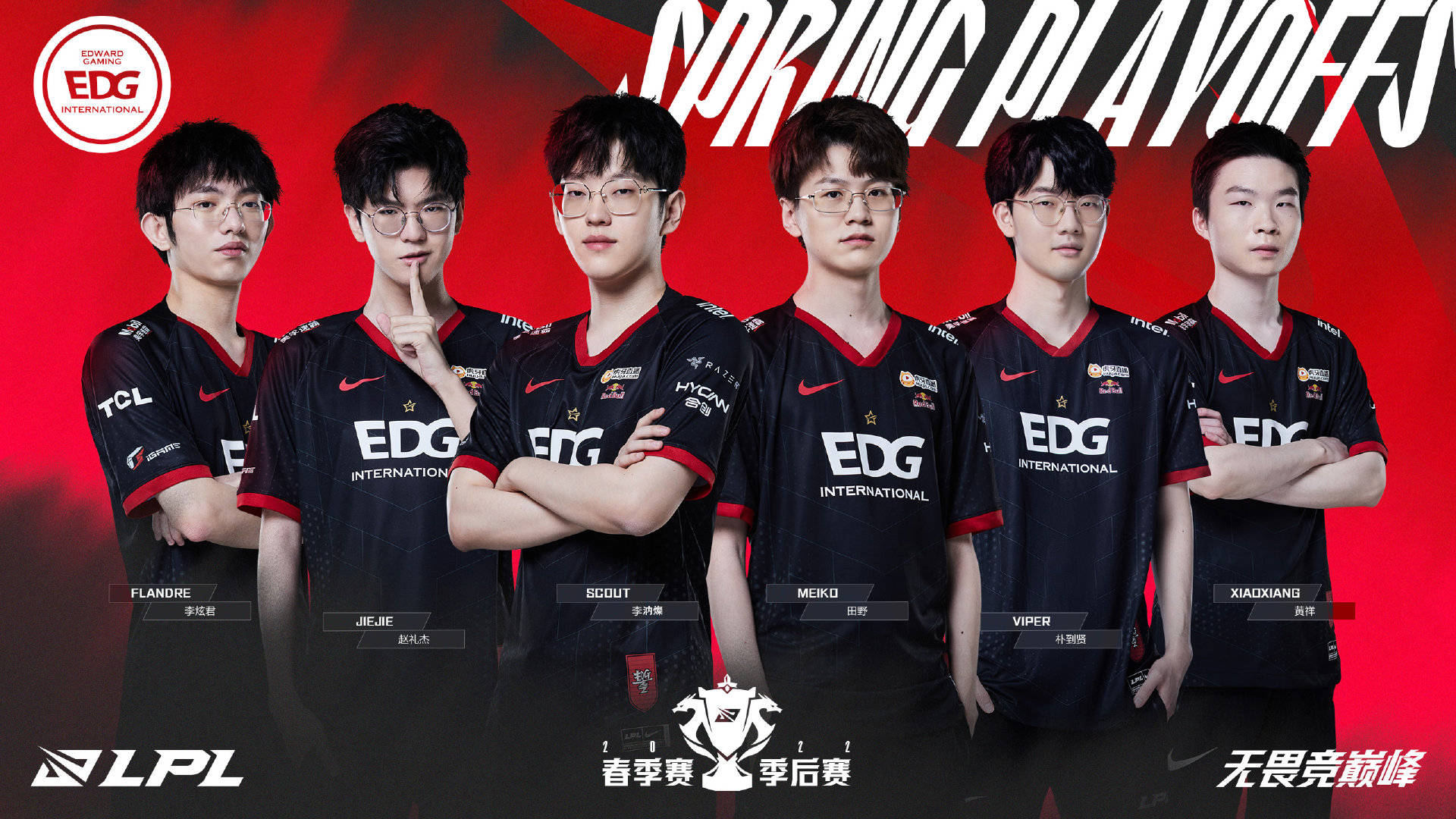 为什么粉红 为什么粉红